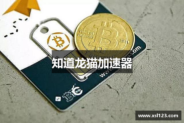 知道龙猫加速器